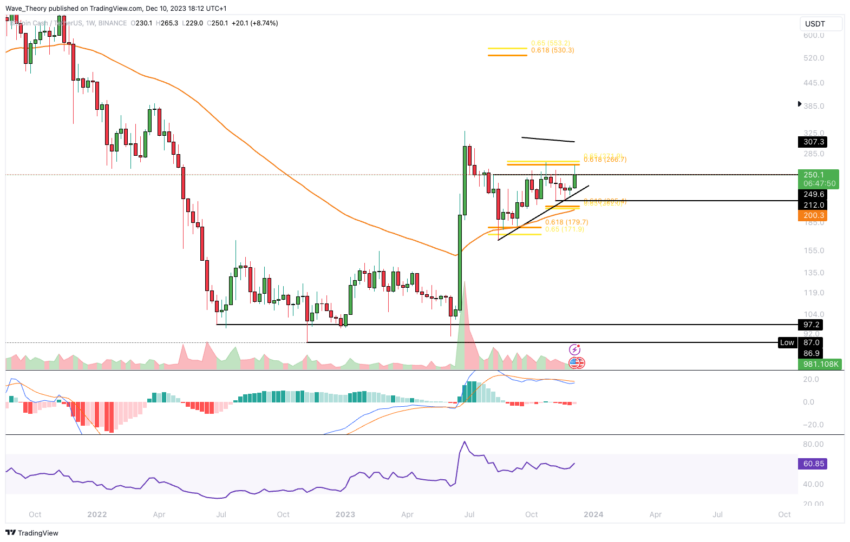 What Is Bitcoin Cash (BCH): All You Need To Know