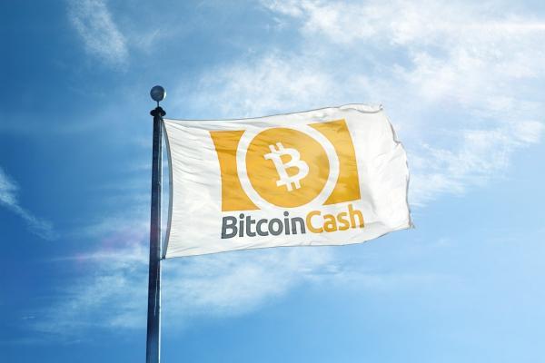 How Much Your $ Investment in Bitcoin Cash Will Be Worth If BCH Reaches $