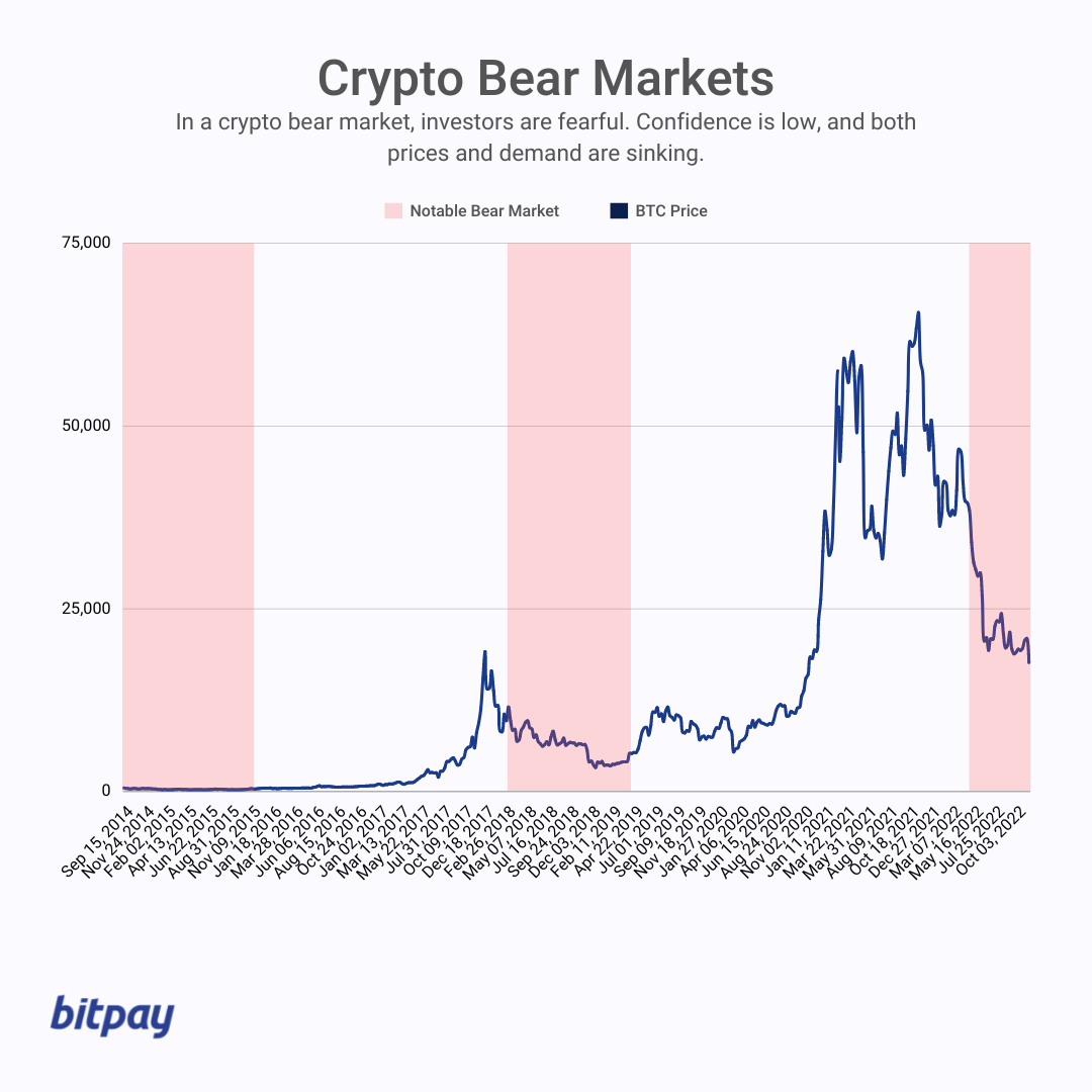 Crypto: Navigating Bear and Bull Markets