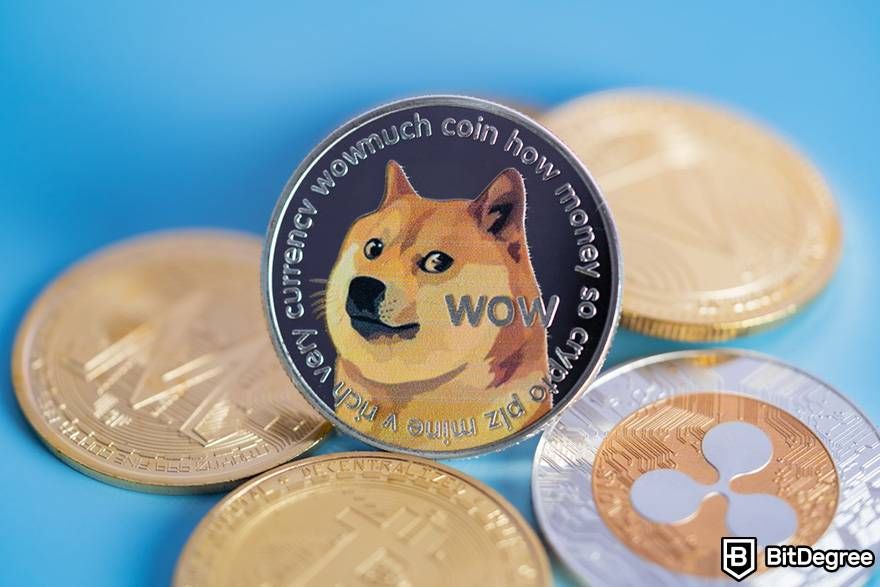 Top Dogecoin (DOGE) Wallets - NerdWallet