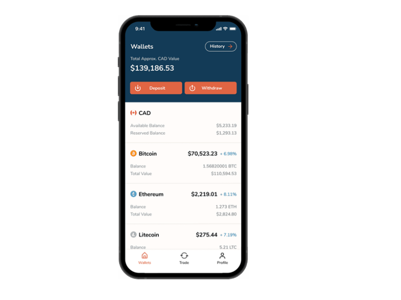 Uncover the top 10 crypto wallets for iPhone users in !