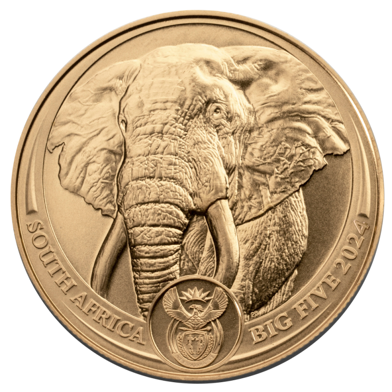 1 oz South African Big 5 Gold Elephant Coin | Texas Precious Metals