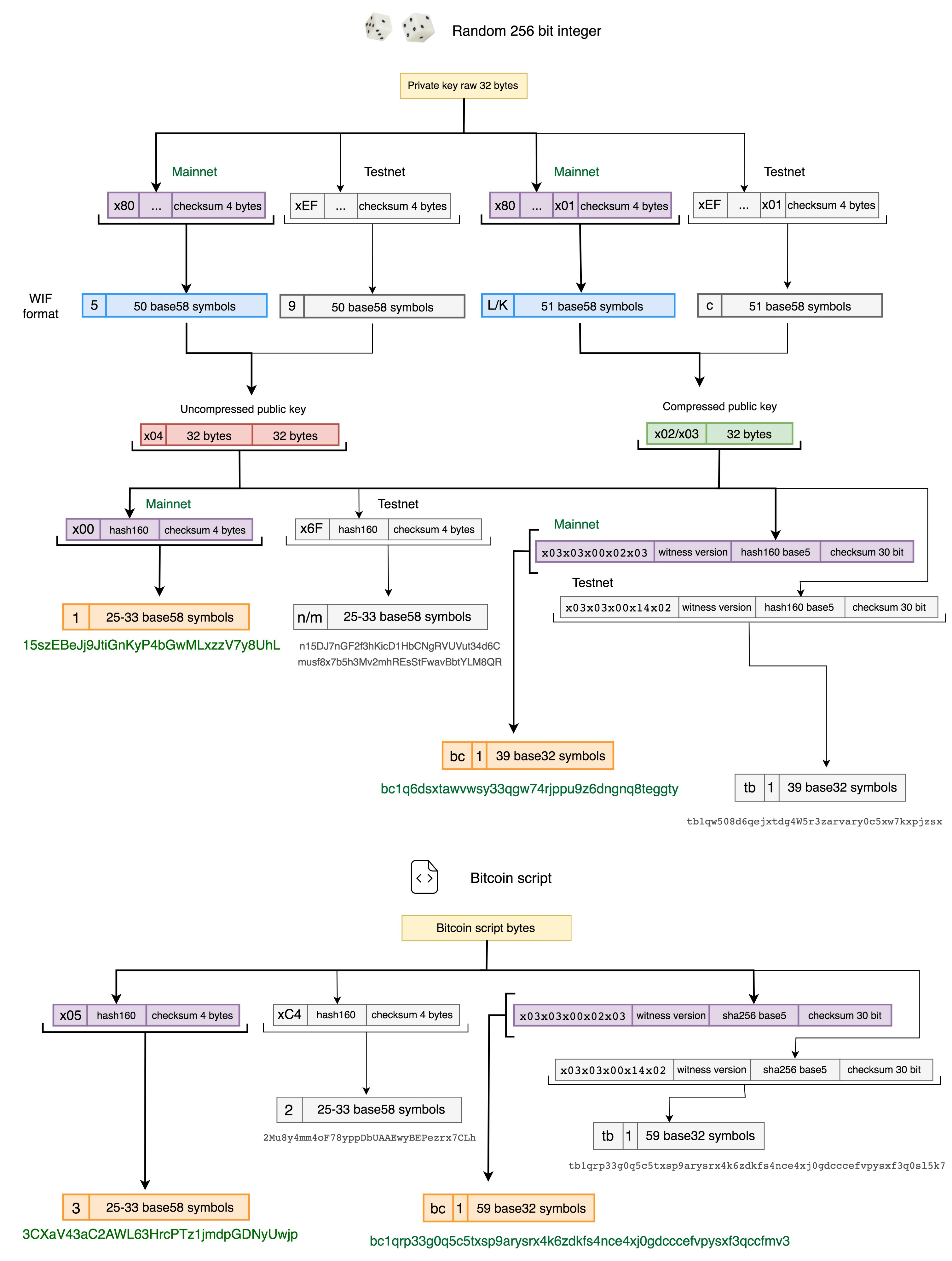 Bitcoin address types compared: P2PKH, P2SH, P2WPKH, and more - Unchained