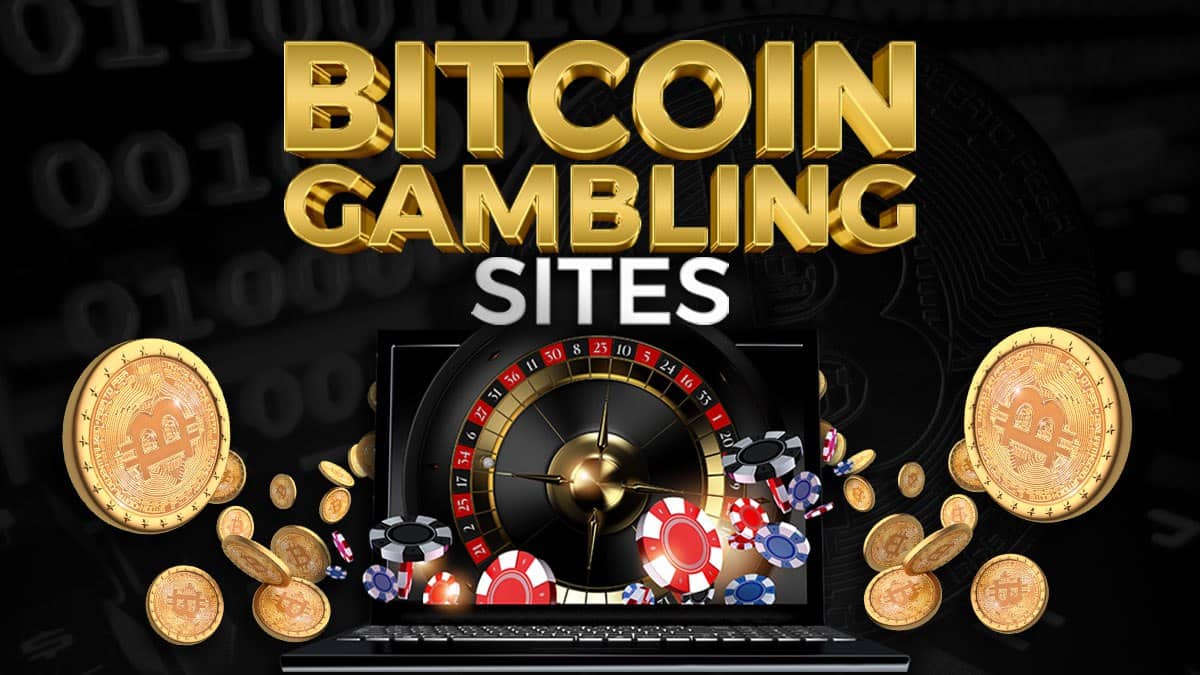 The 10 Best Crypto & Bitcoin Gambling Sites in 