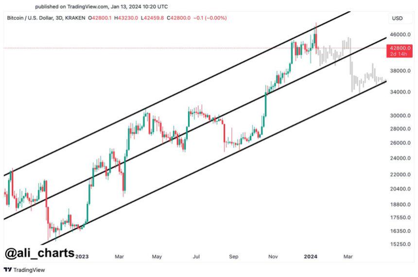 Why Bitcoin's Next Move Might Surprise You - Lessons from Parenthood - Video Summarizer - Glarity