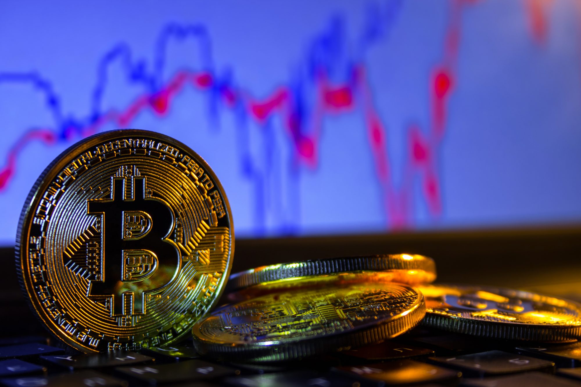 Bitcoin price latest: why is it currently going up? - Times Money Mentor