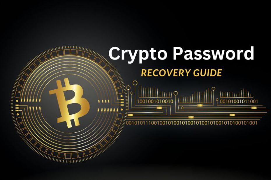 Crypto APIs Open Source Recovery Tool | Guides