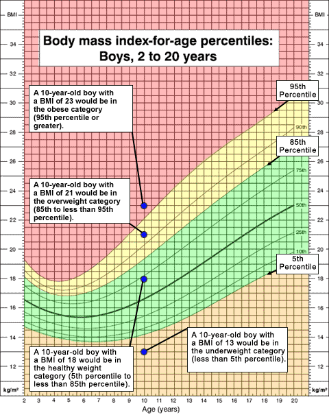 Calculate your BMI, correctly rated according to age and gender