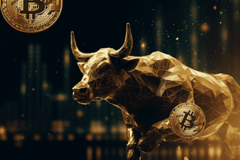 Bitcoin Bull 3X | Toros