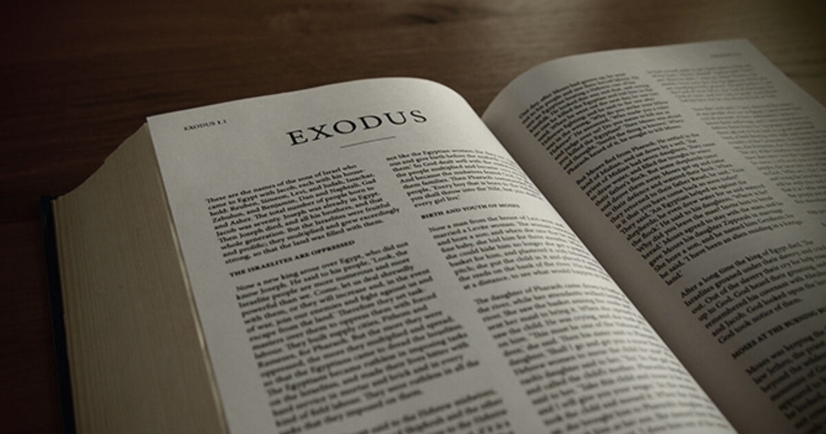 Exodus Definition & Meaning - Merriam-Webster