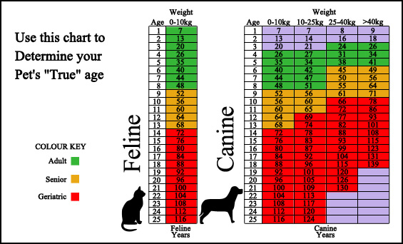 How old is your cat?