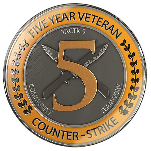 Counter-Strike: Global Offensive » Search Results » 10 year coin