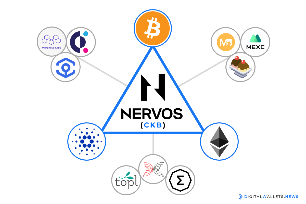 Nervos Network Price | CKB Price and Live Chart - CoinDesk