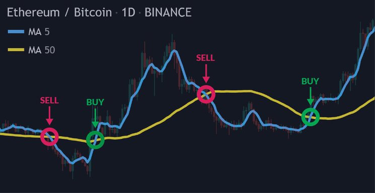 How to Create a Crypto Trading Bot in ?