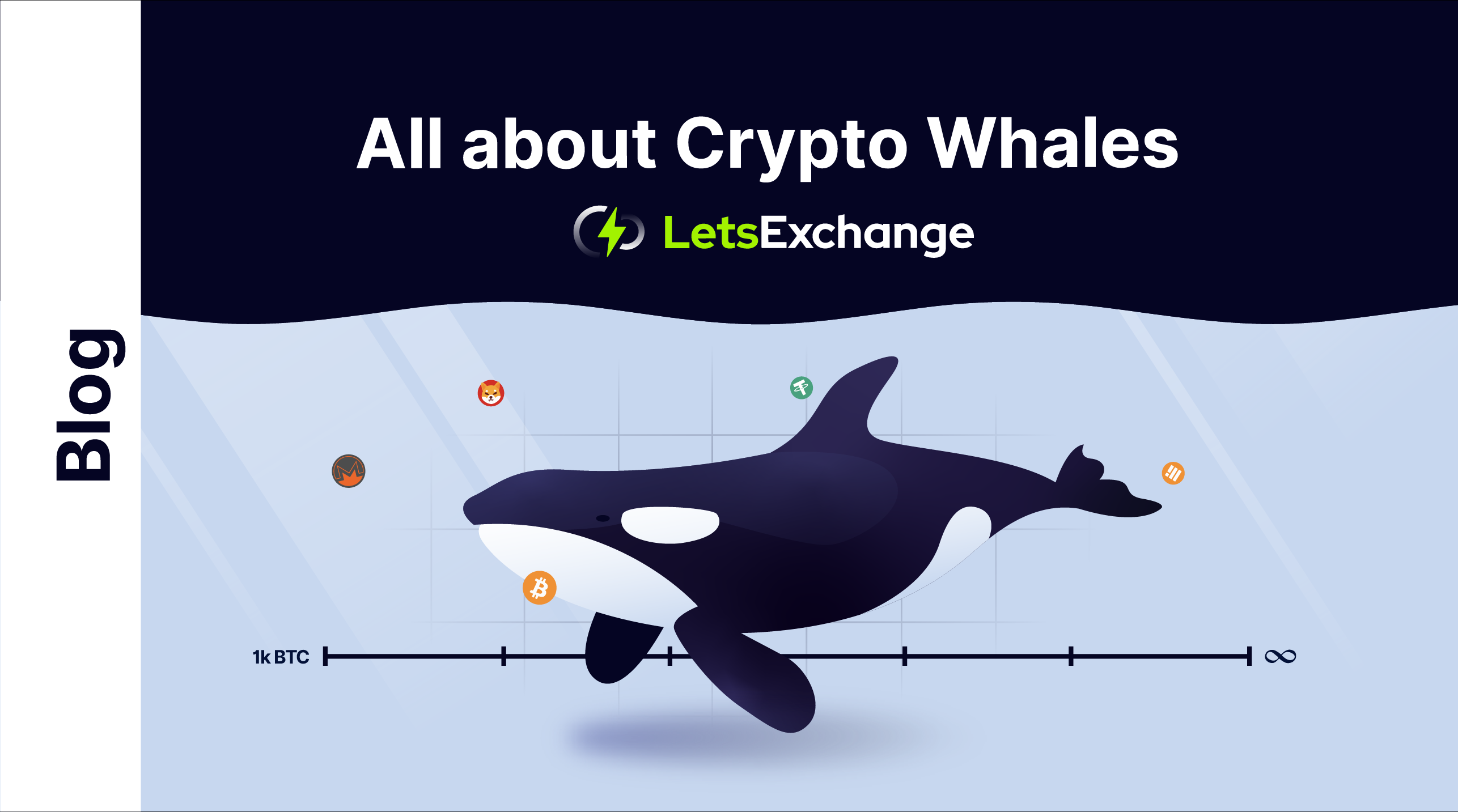 WHALE price today, WHALE to USD live price, marketcap and chart | CoinMarketCap