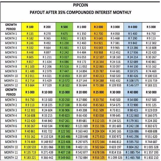 Is Pipcoin a South African Scam Coin? - bymobile.ru