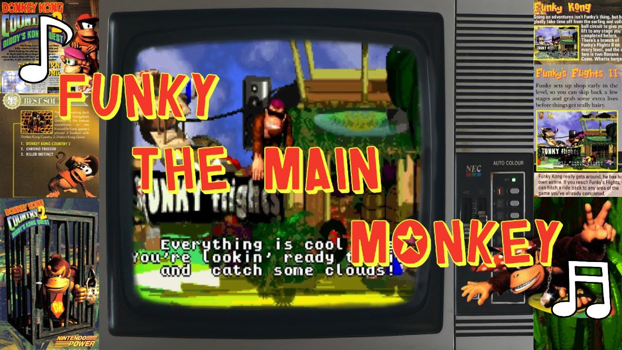 Donkey Kong Country 2: Diddy's Kong Quest (SNES - ) - Lynk, WTF; Christopher Lynk's Website