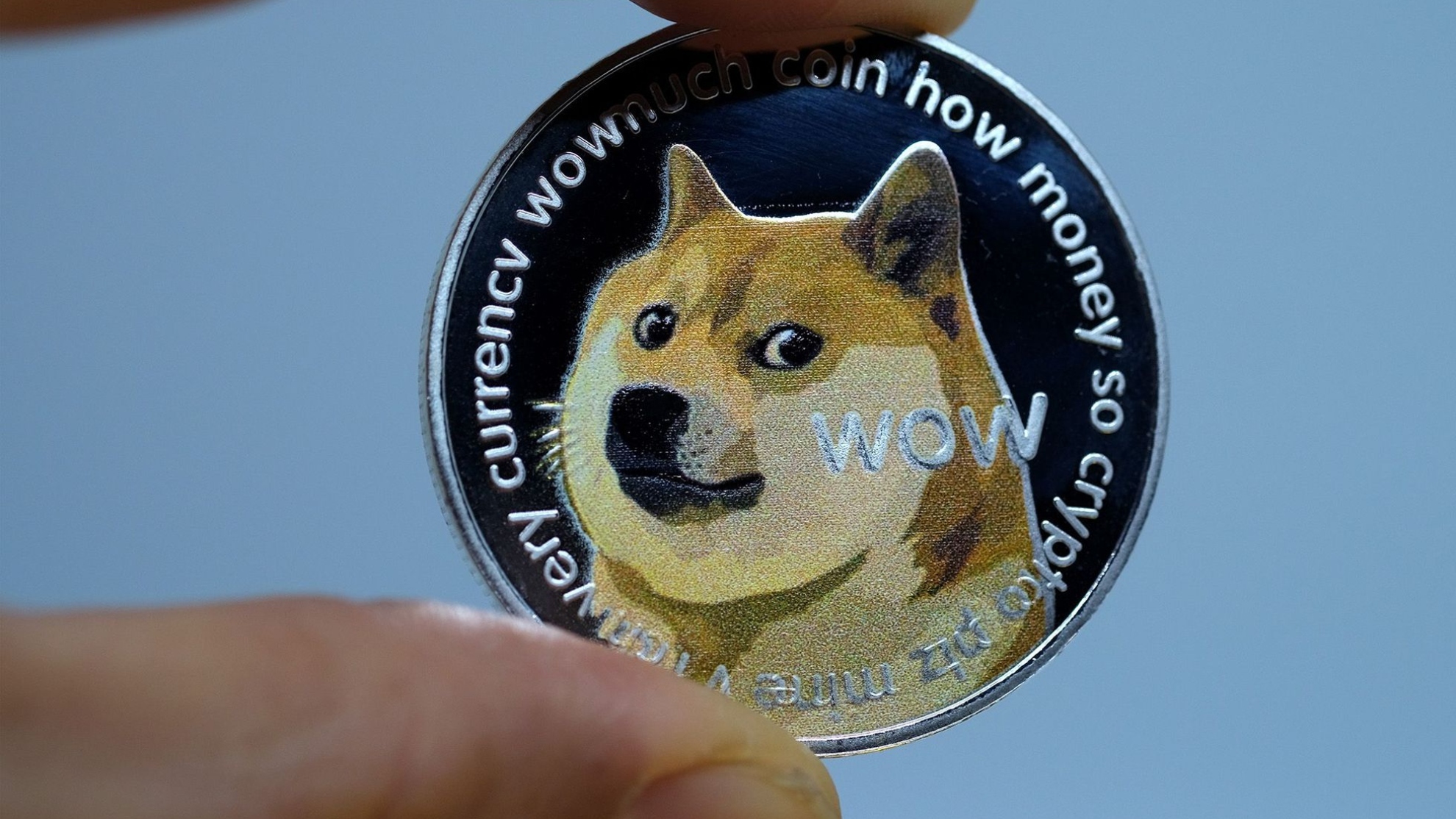 Dogecoin vs Shiba Inu: What's the Difference? • Blog Cryptomus