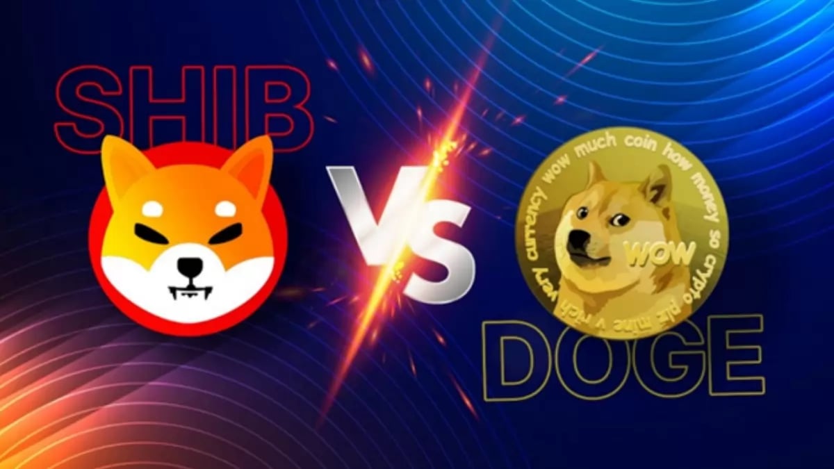 The Future of Shiba Inu Coin: Price Predictions and Why You Should Invest in It