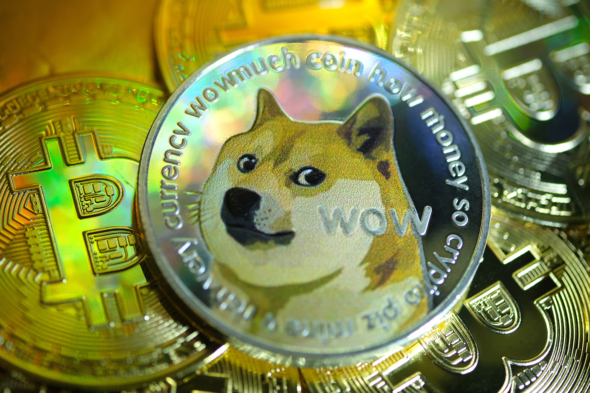 Live Dogecoin Price – How Does it Compare to Other Cryptocurrencies? - bymobile.ru