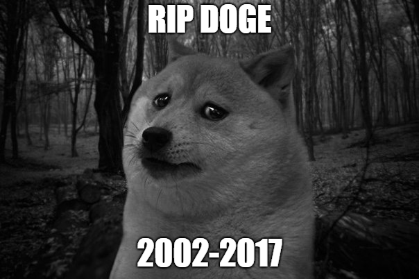 Doge (meme) - Wikipedia