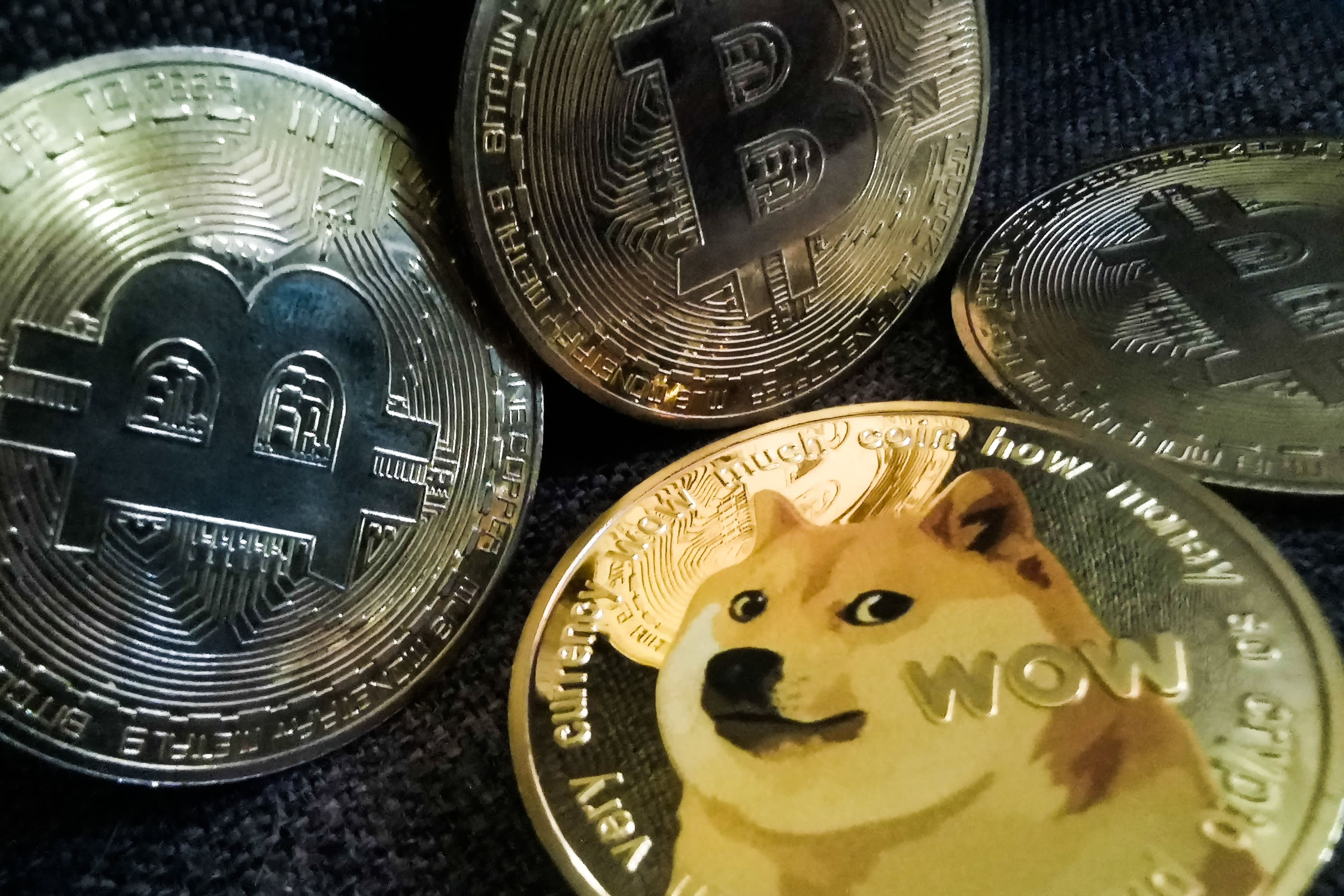 USD to DOGE Exchange – Convert Perfect Money USD to Dogecoin with best rate