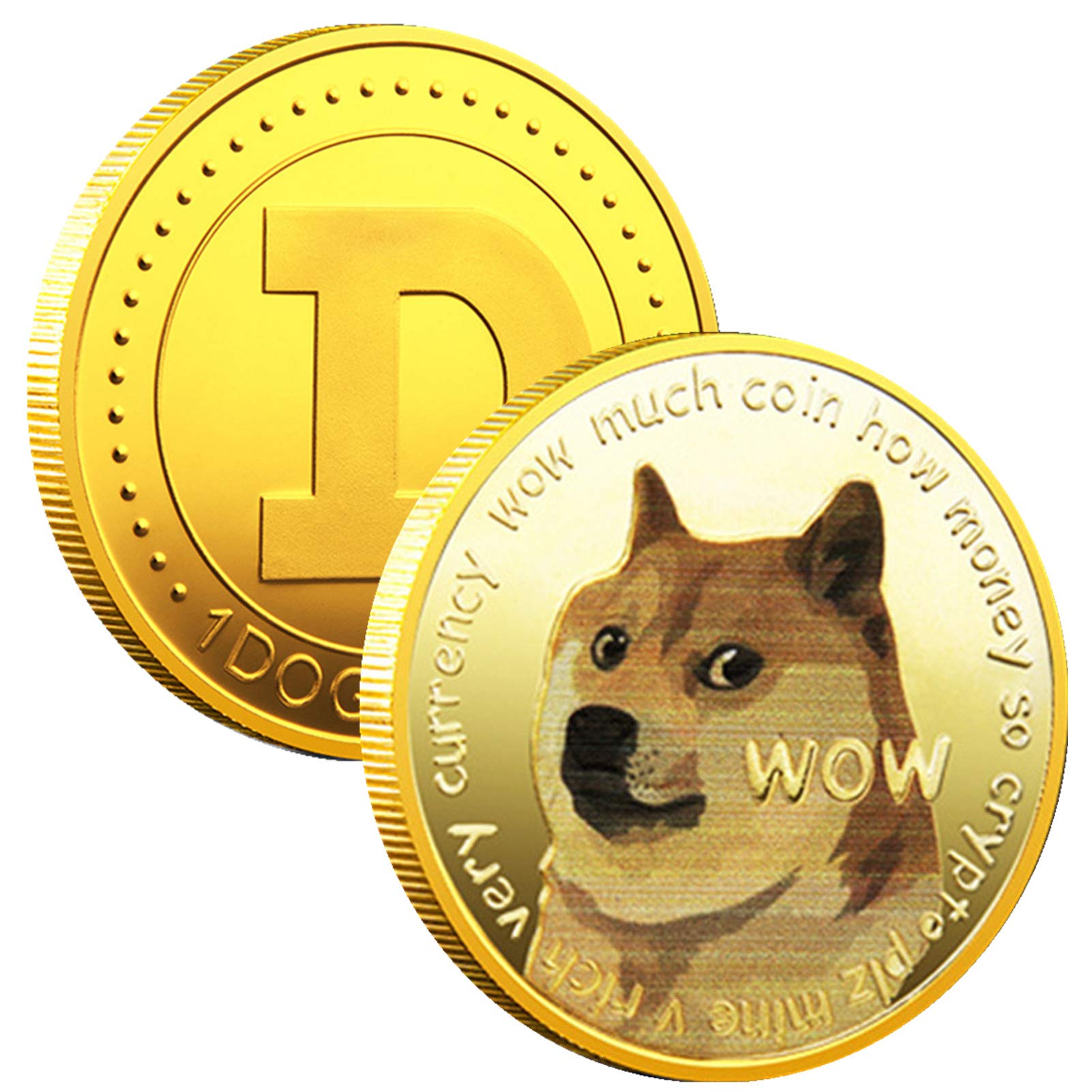 Dogecoin To Moon! DOGE Price Could Skyrocket to $1