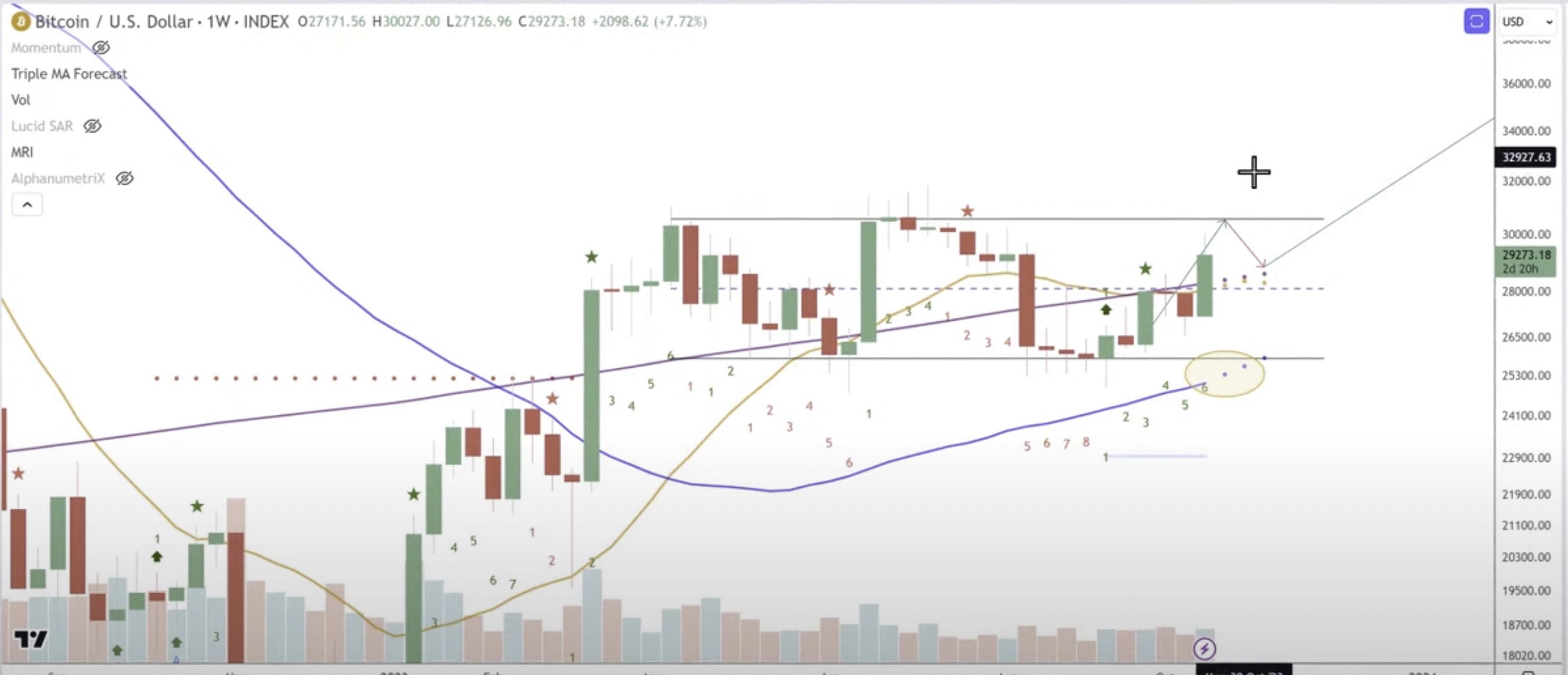 Crypto Analyst Tone Vays on DOGE and Litecoin: No Difference? | Cryptoglobe