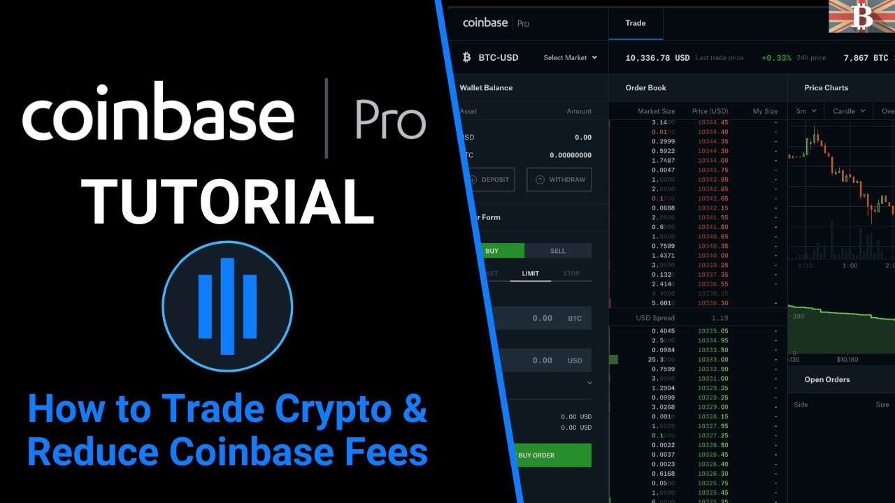 Kraken vs. Coinbase: Which Should You Choose?