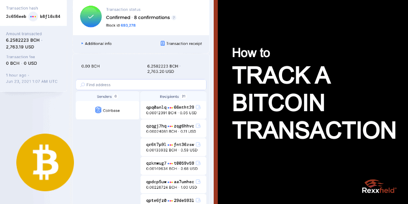 Blockchain Transaction Checker. Explore Crypto Transactions | Cryptomus