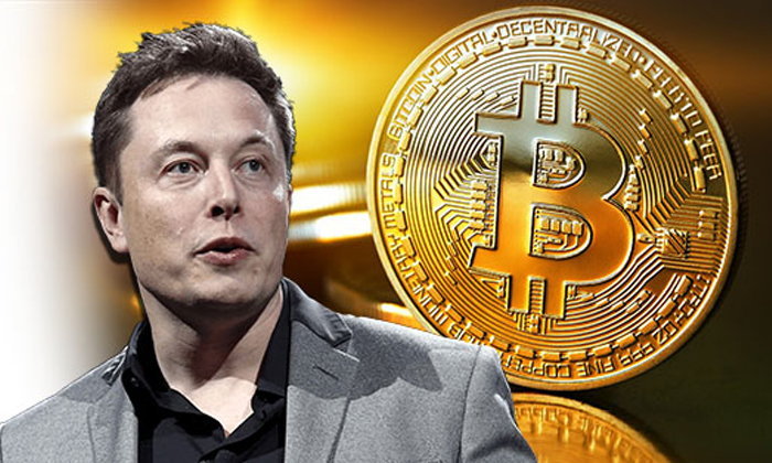 Bitcoin's 50% crash erases all of Elon Musk's gains on Tesla's balance sheet | Fortune