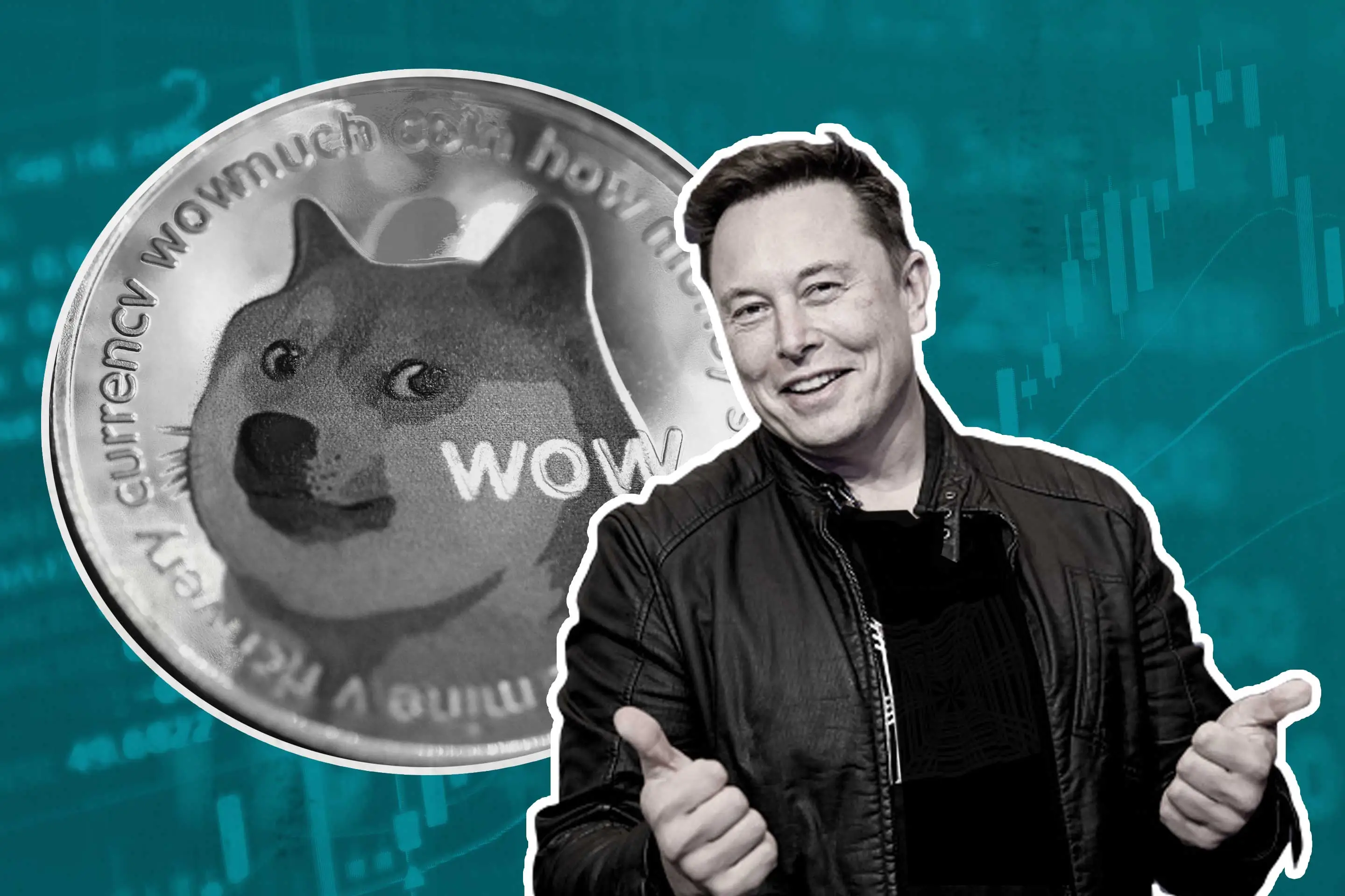 Elon Musk Breaks Silence on Crypto, Warns Against Dogecoin Speculation - Blockworks