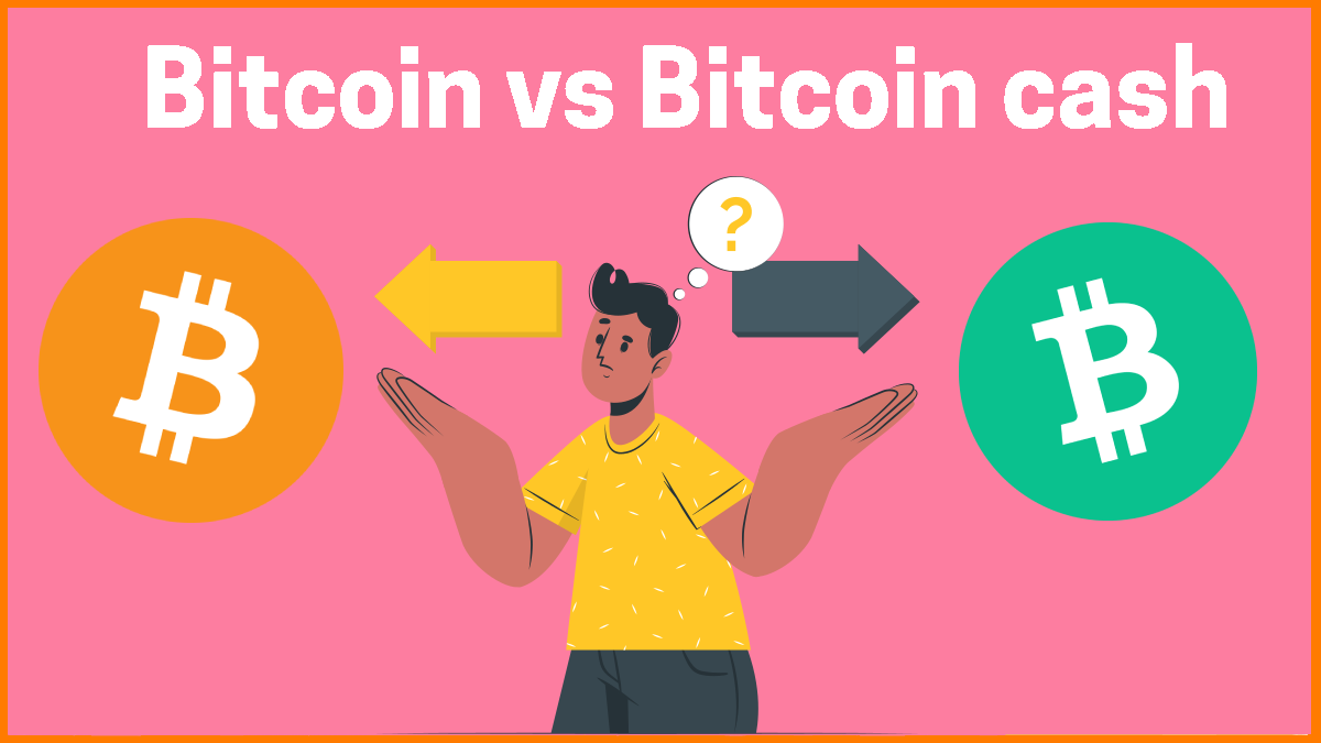 Bitcoin vs Bitcoin Cash – Forbes Advisor Australia