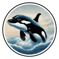 Orca (ORCA) live coin price, charts, markets & liquidity