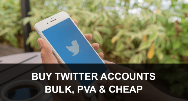 Buy Old Twitter Accounts - USASMMIT