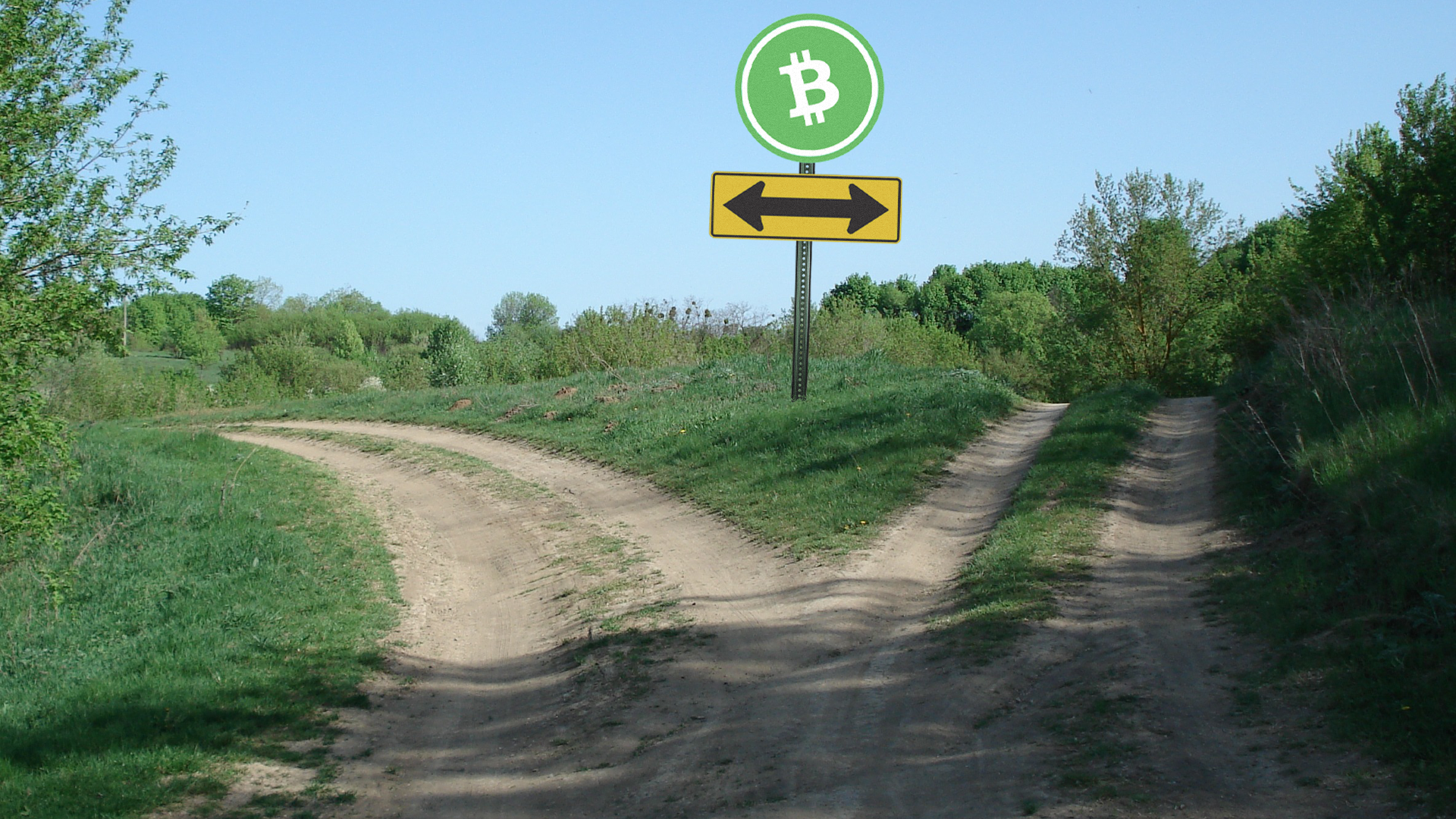 Upcoming Bitcoin Cash hard fork on November 15 | The Bitstamp Blog