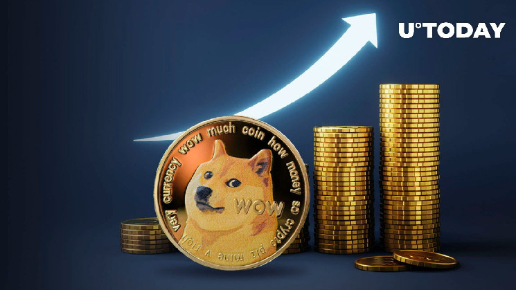 Bitcoin, Dogecoin Transactions Chart