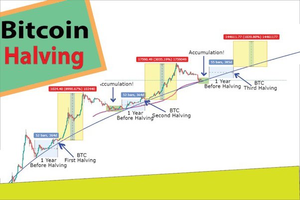 Is Bitcoin due for a major correction? JPMorgan predicts drop to $42, after April halving