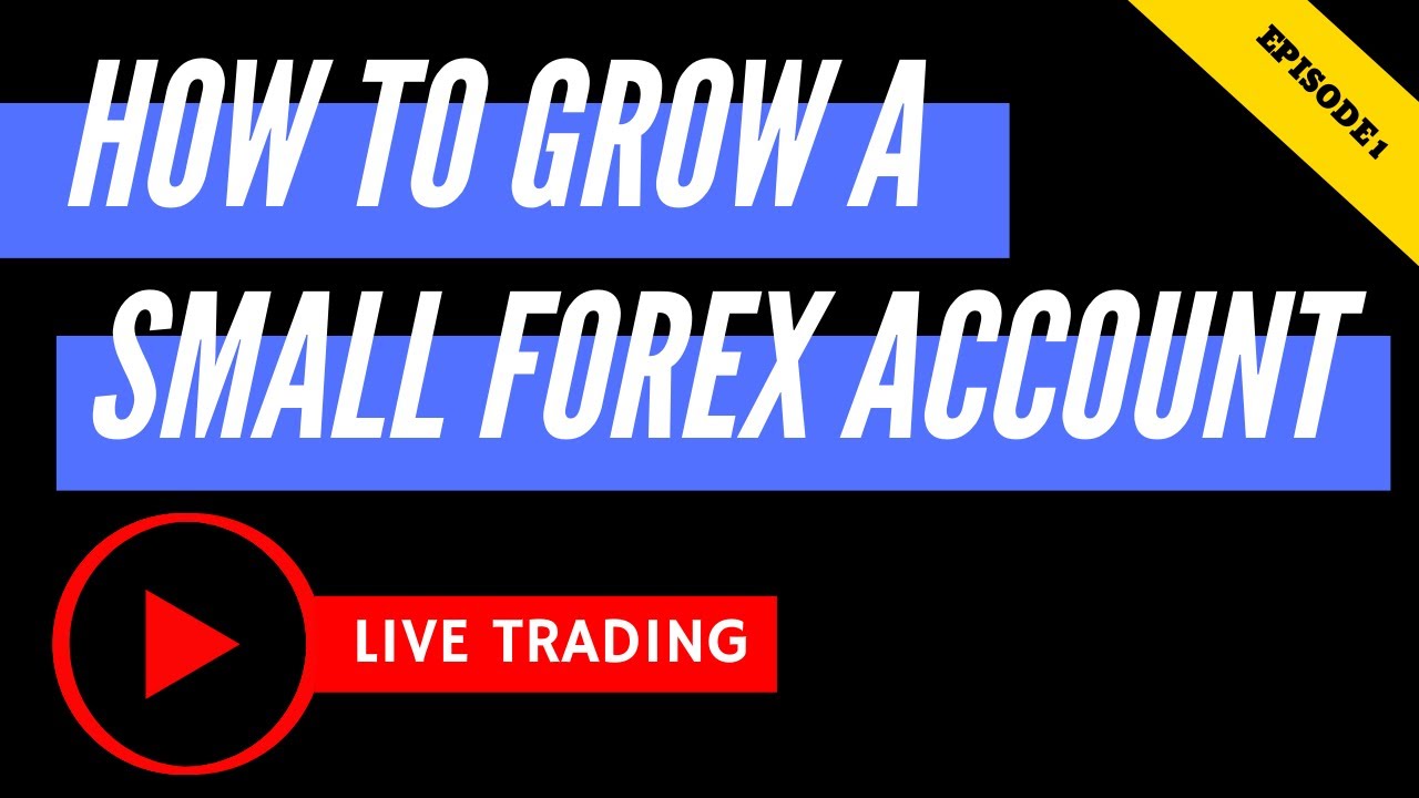 Forex Mini Account: What it is, How it Works, Example