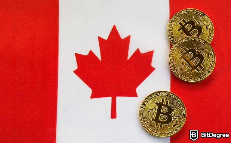 How to Buy Cryptocurrency in Canada | The Motley Fool Canada