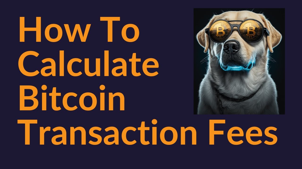 What is the bitcoin network fee? | Relai Helpdesk