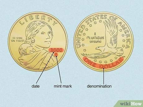 Rare Coins: Step by Step Process to Sell for the Best Value