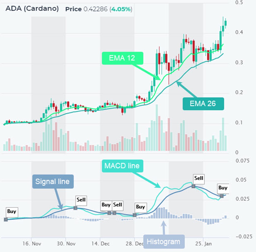 Trading for Beginners: How to Trade Bitcoin & Altcoin Step by Step!