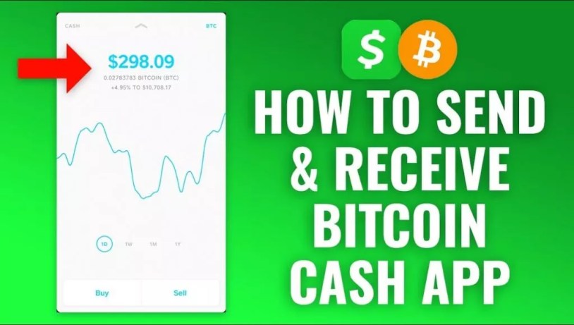 How to Send Bitcoin on Cash App to Another Wallet - Zengo