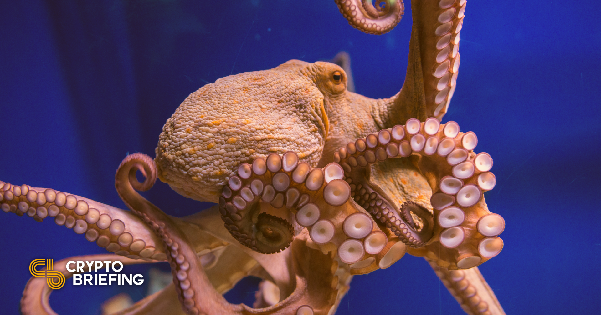 Kraken Claims Title as First U.S. Crypto Bank | BitIRA®