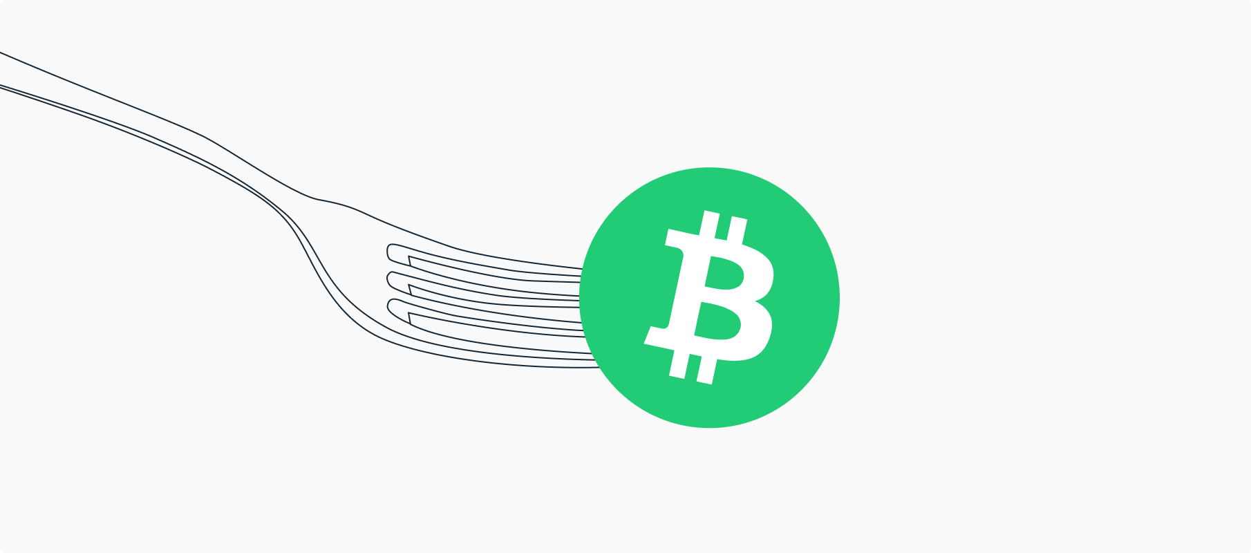 Bitcoin Cash Hard Fork » All information, snapshot date & list of supported exchanges