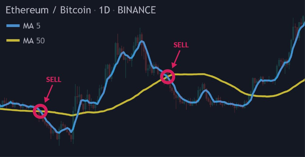 Create a Crypto Trading Bot: Comprehensive Guide for Development | ProCoders