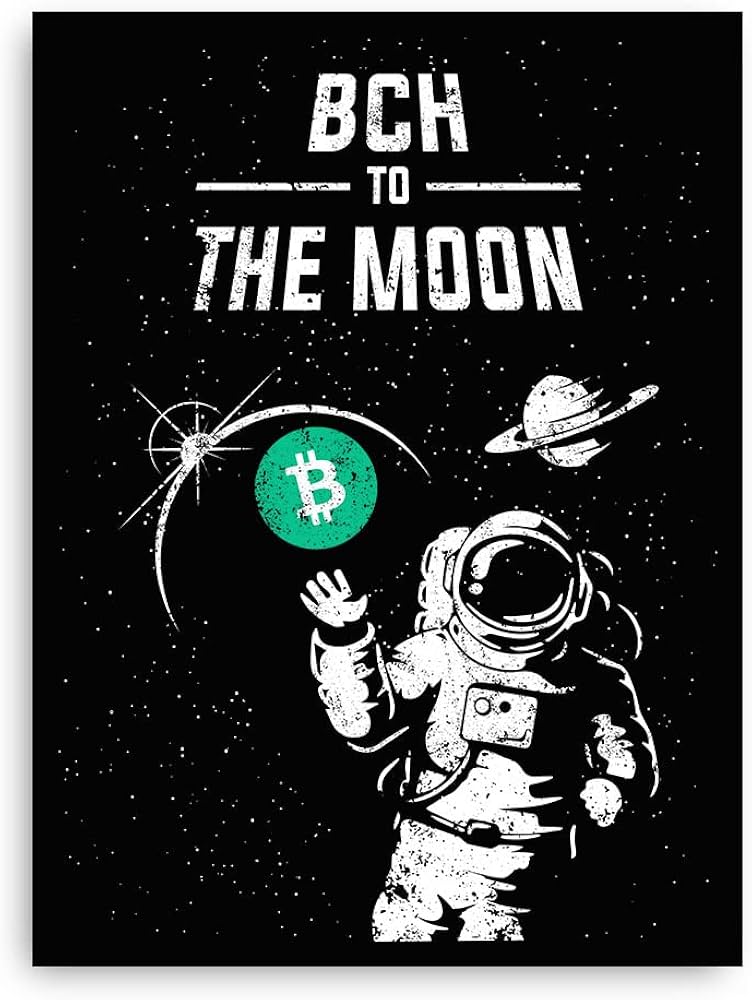 Moon: Shop online with Bitcoin