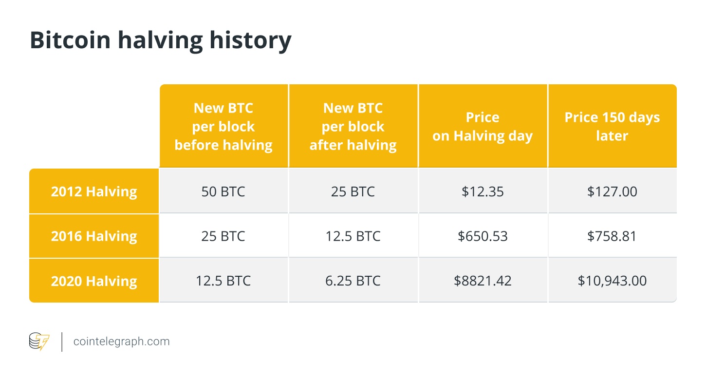 Next Crypto Bull Run Prediction - In-Depth Market Analysis