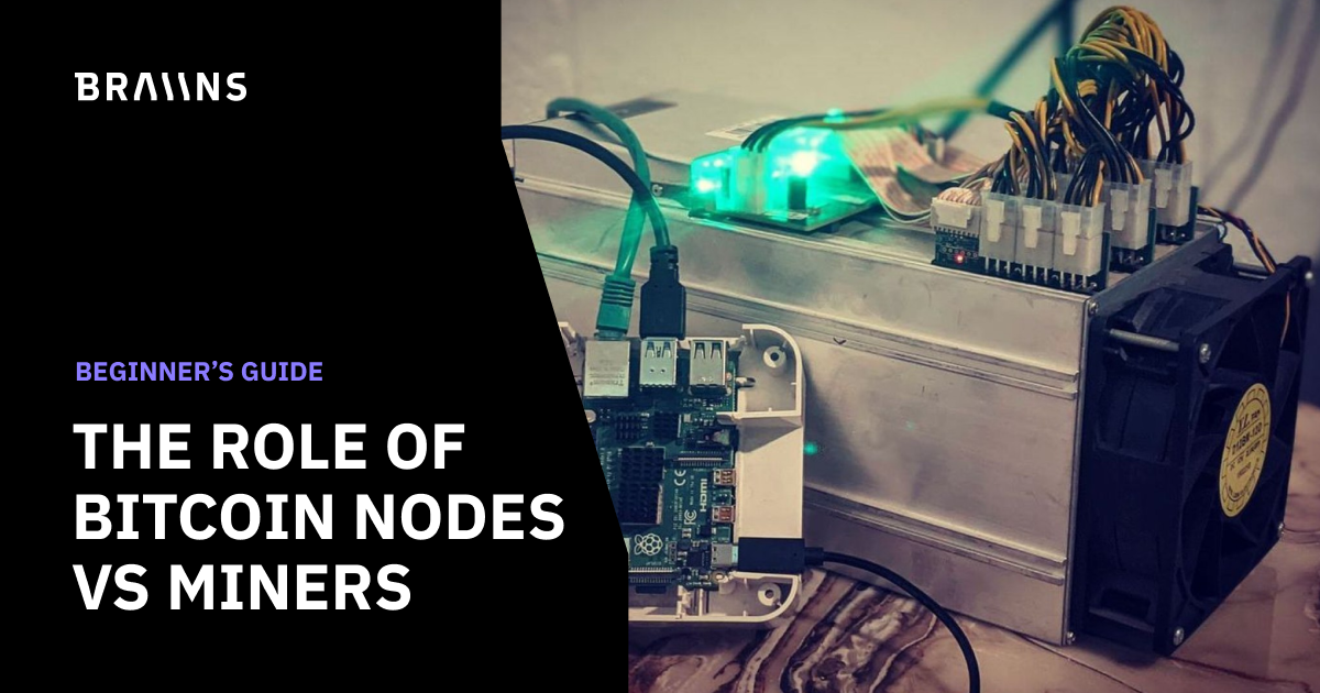 How Bitcoin Nodes and Bitcoin Miners Differ | The Crypto Times